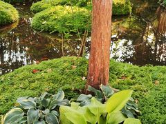 -成都市活水公园