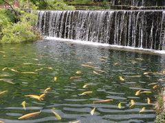 -丽江玉水寨