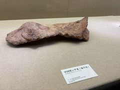 -衢州市博物馆