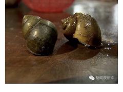 -三哥田螺(北书院街店)