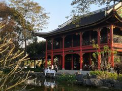 -顺峰山公园