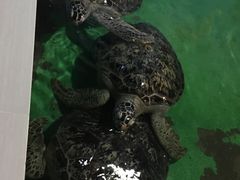 -常州海昌海洋探索馆