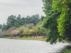 -南国桃园旅游度假区