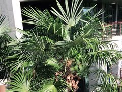 -上海怡沁园度假酒店