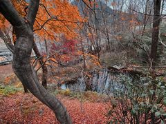 -崂山九水游览区