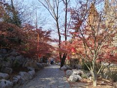 -大伊山景区