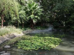 -苏州河梦清园环保主题公园