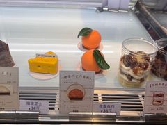 -TD66高山铁皮石斛养生茶饮