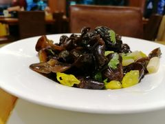 藕尖木耳-东方饺子王(大屯路店)