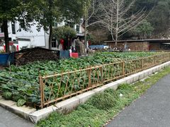 -途中饭店(开化店)