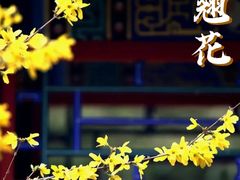 -国家植物园