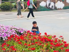 -武汉动物园