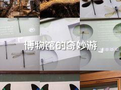 -昆明动物博物馆