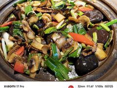 -云海肴汽锅鸡·云南小炒(天津国金汇店)