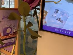 -GANSO元祖食品(锦创书城店)