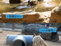 -深圳野生动物园