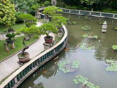-碧江金楼