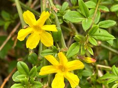 -北京鹫峰国家森林公园