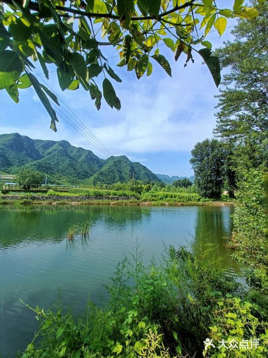 北龙湖湿地公园图片