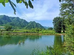 -北龙湖湿地公园
