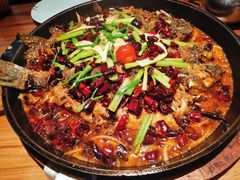 -老板恋上鱼(环山路店)