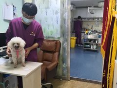 -A猫a狗全科·犬猫异宠·芥西宠物医院(南开总院)