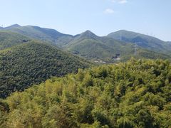 -宁波浙东大竹海景区