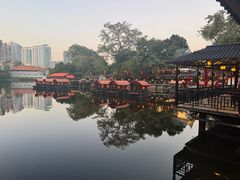 -侨美·唐荔园·40年地道粤菜