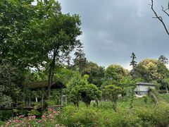 -碧峰峡风景区