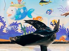 -太平洋海底世界