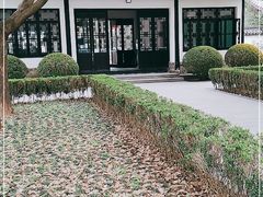 -上海佘山国家森林公园天马山园