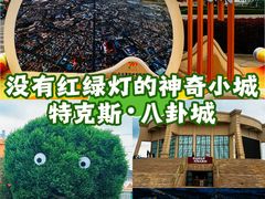 -特克斯八卦城