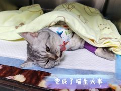 -福州肆爪动物医院