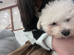-共舞时光猫咖·狗咖(新街口店)
