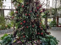 -北京植物园-展览温室