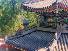-香山公园