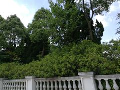 -平湖九龙山旅游度假区