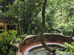 -天门沟九州驿站树上汤泉