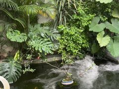 -漫笙舍Manse·咖啡·民宿