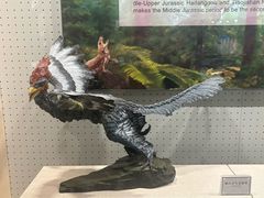 -辽宁古生物博物馆