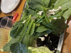 -成老灶火锅鸡(平山店)
