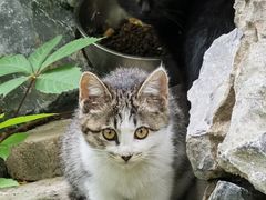 -丰台体育中心·游泳馆