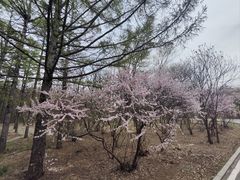 -长春市南湖公园