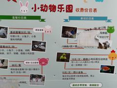 -前小桔亲子创意农场·草莓采摘·露营烧烤