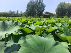 -渔岛海洋度假区