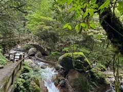 -西岭雪山大飞水景区