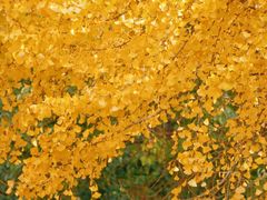 -苏州河梦清园环保主题公园