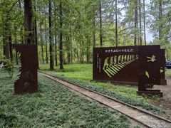 -黄海国家森林公园