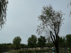 -东郊湿地公园