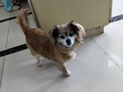 -宠颐生嘉德动物医院